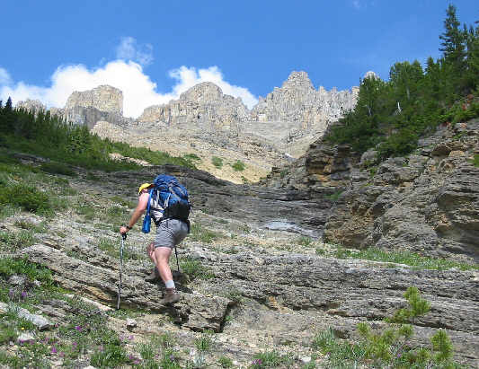 This is a no-nonsense approach.