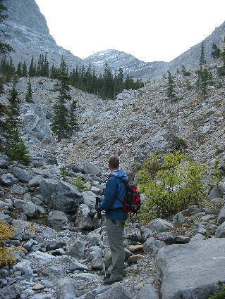 Oh boy. We've got a lot of work ahead of us...