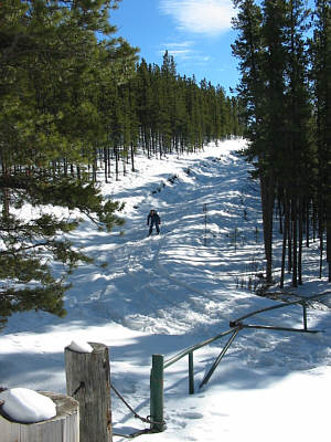 Somebody open the gate!