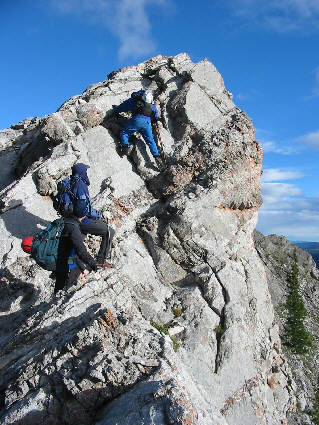 Relieving the monotony of Nihahi Ridge.