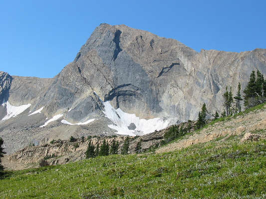 Probably not a scramble!