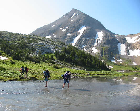 Foch, that's cold!!!