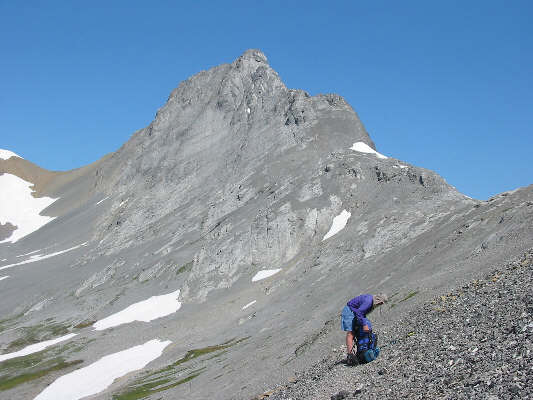 Dan checks the pudding desserts he has hauled all this way.