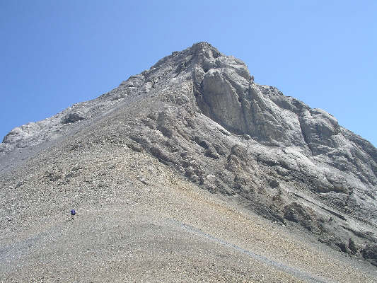 Doesn't look so bad from this side!