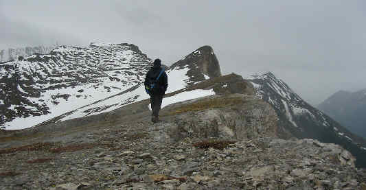 Maybe some other time...