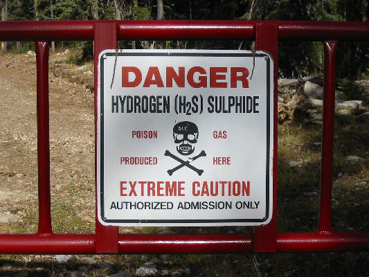 What does it say on the skull?