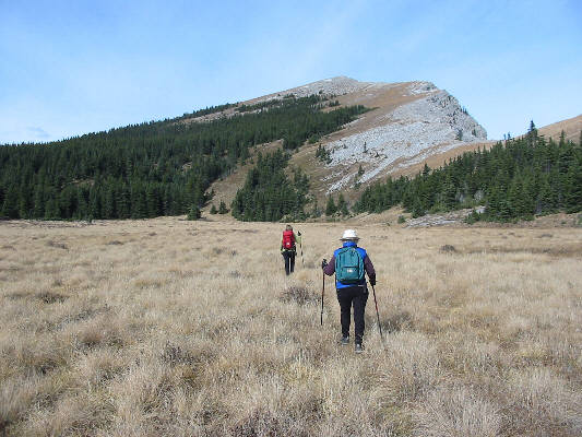We probably could have biked all the way here!