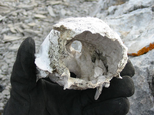 Hmm...what did that sign say again at the beginning?!