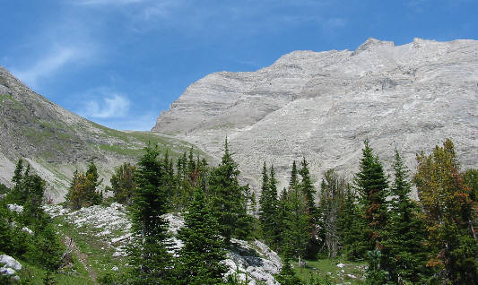 This is where the REAL work begins!