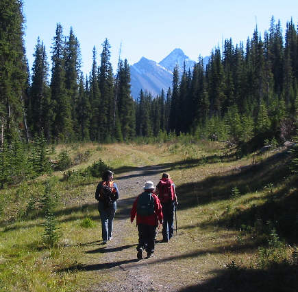 Keep a sharp eye for the turn-off to Tryst Lake!