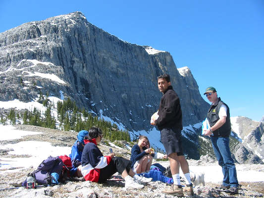 Anyone for some chips?