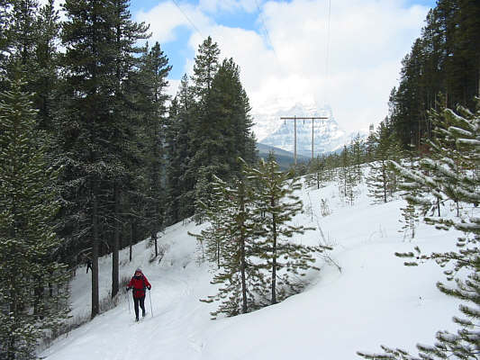 Damn power lines always spoil a good picture!
