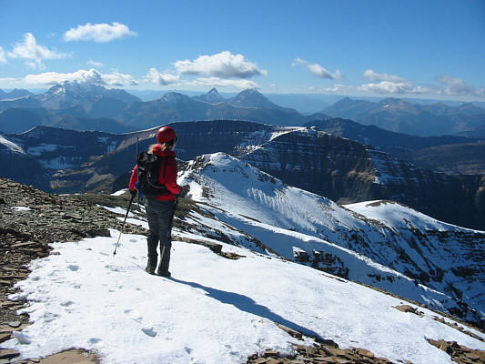 Decision time...should we go for it?