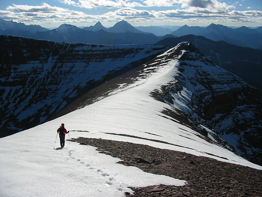 Is this getting monotonous yet?