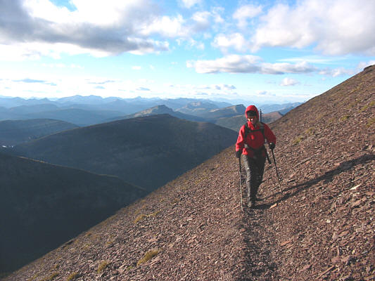 I wonder if Linda is thinking about food right now...