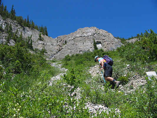 Lots of bushes and bugs to get to this point.