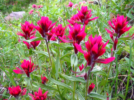 Just wanted to try out the 'Vivid' setting on my camera!