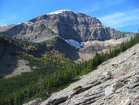 I'm glad I don't have to go up there today!