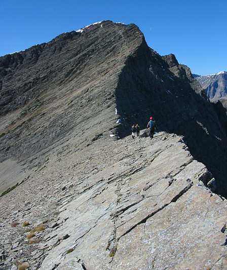 Likely more fun than hiking back to town on the Carthew-Alderson Trail...