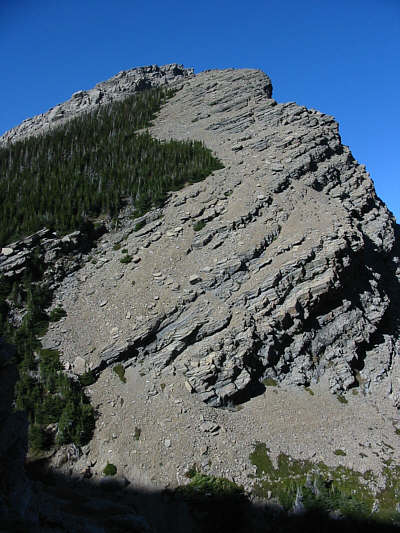 No bushwhacking required!