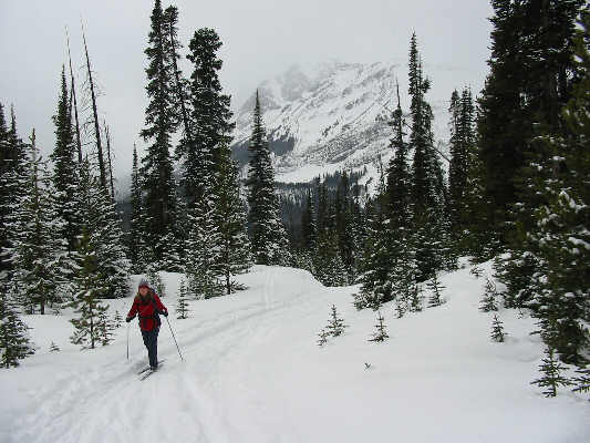 Great snow conditions!