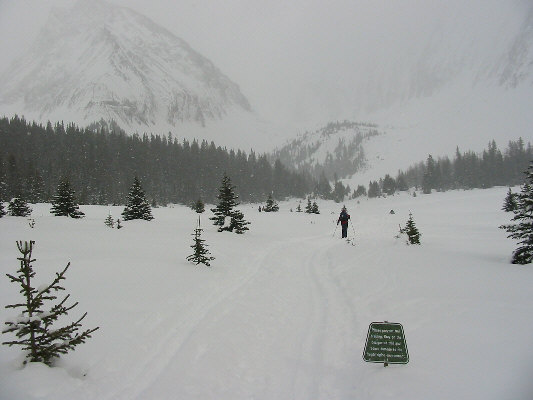 Lots of snowshoers come here too!