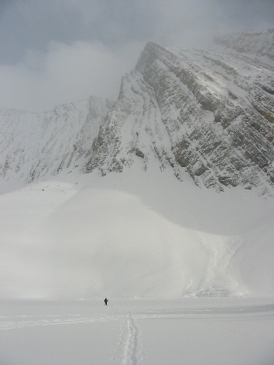 Not bad...more than we saw the last time we were up here in winter.