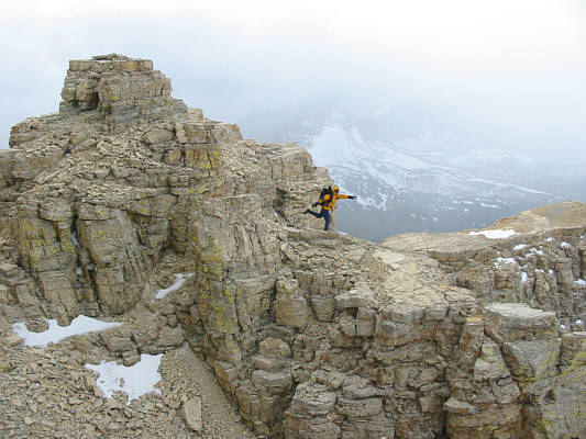 I'm amazed he can stand on one leg in this wind.
