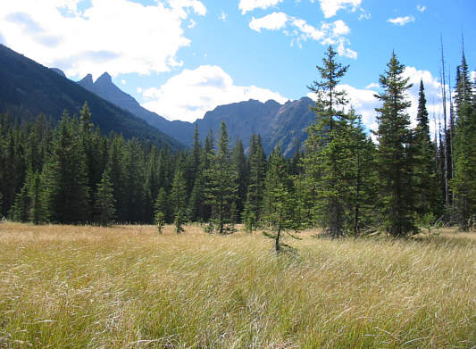 I didn't see any flagging though.  Take your chances, I guess.