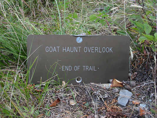 The scramble route up Goat Haunt Mountain begins here!