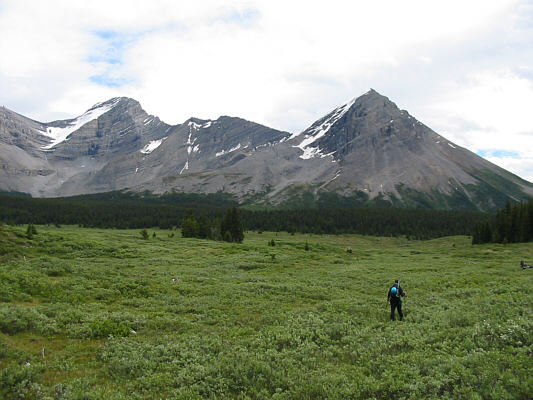 We're bound to hit that trail at some point...