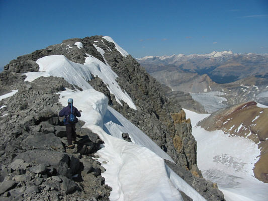 Watch where you step!