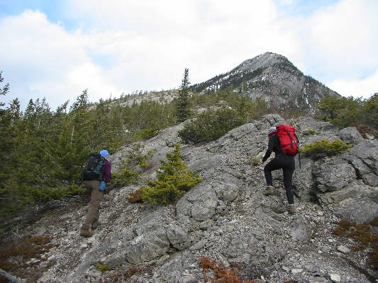 Yay! No bushwhacking today!