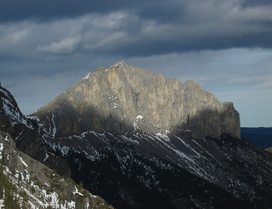 Yam is looking good!