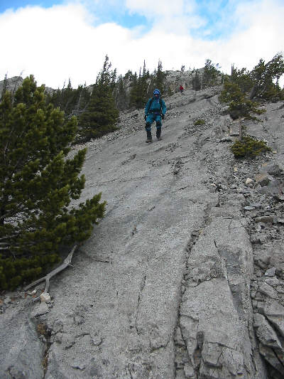 Don't have to be Spiderman to walk down this!