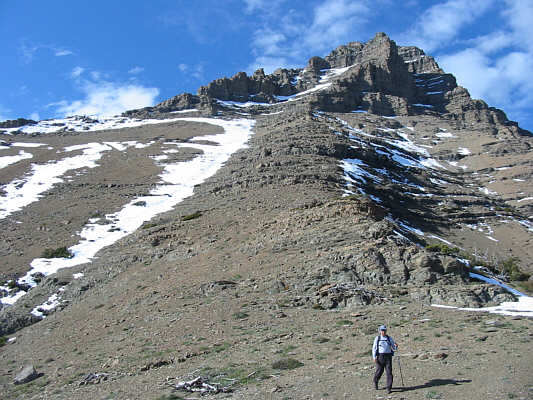 No bear encounters today!