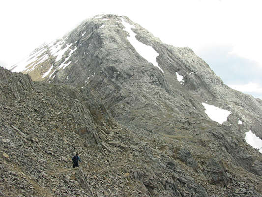 It's much easier than it looks!