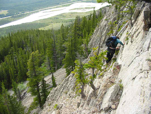 A bit anticlimactic after running into a bear!