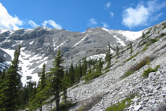 Let the sidehill bashing begin!