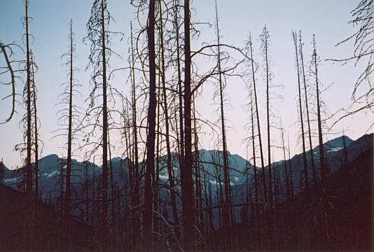 Kinda eerie hiking through here, especially in the dark!