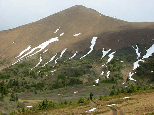 Looks like an "easy" scree slog.