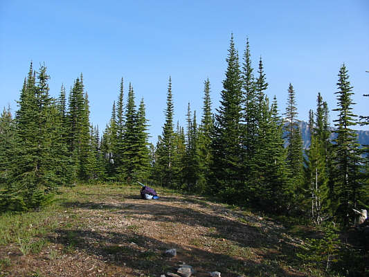'Lookout' is kinda misleading as the trees obscure much of the views.