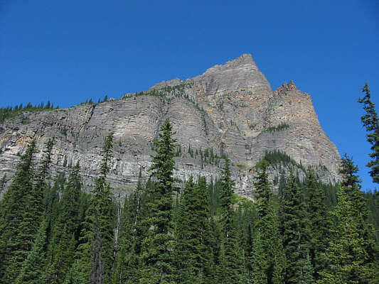 But looks can be deceiving...