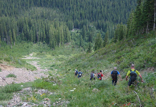 How about Wendy's for dinner?