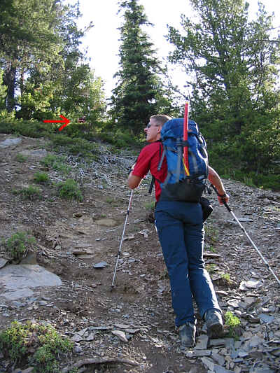 VERN:  Do you have permit?  DAZED GUY:  Uhh...I was abducted by aliens...yeah, that's the ticket.