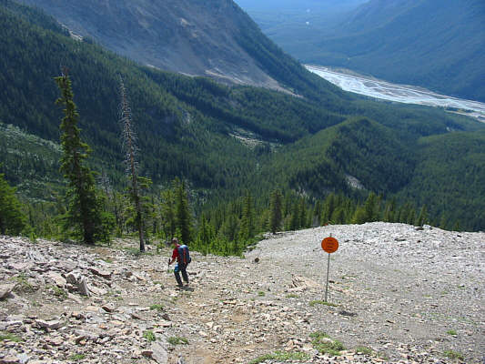 They're watching you...