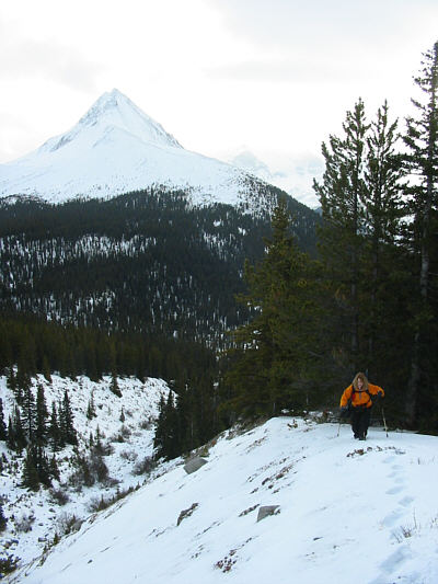 'Orange' ya glad you came along, Linda?