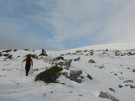 Hmmm...not too many places above here to pee in privacy!