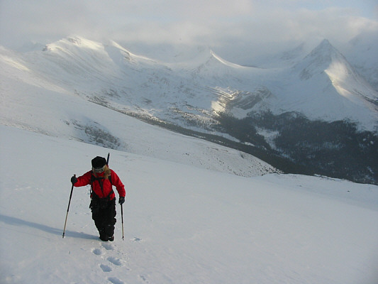 It's hard work, but it sure beats working at Tim Horton's!