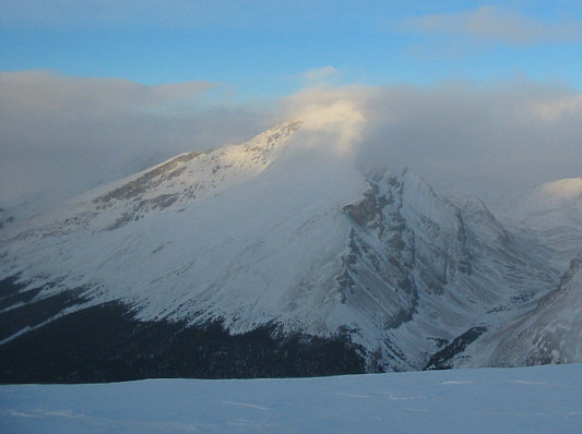 Another possible winter scramble?